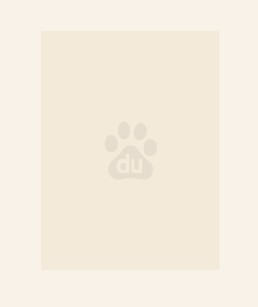 ����͵��